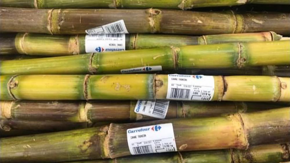 Guadeloupe : la vente de cannes à sucre dans un supermarché