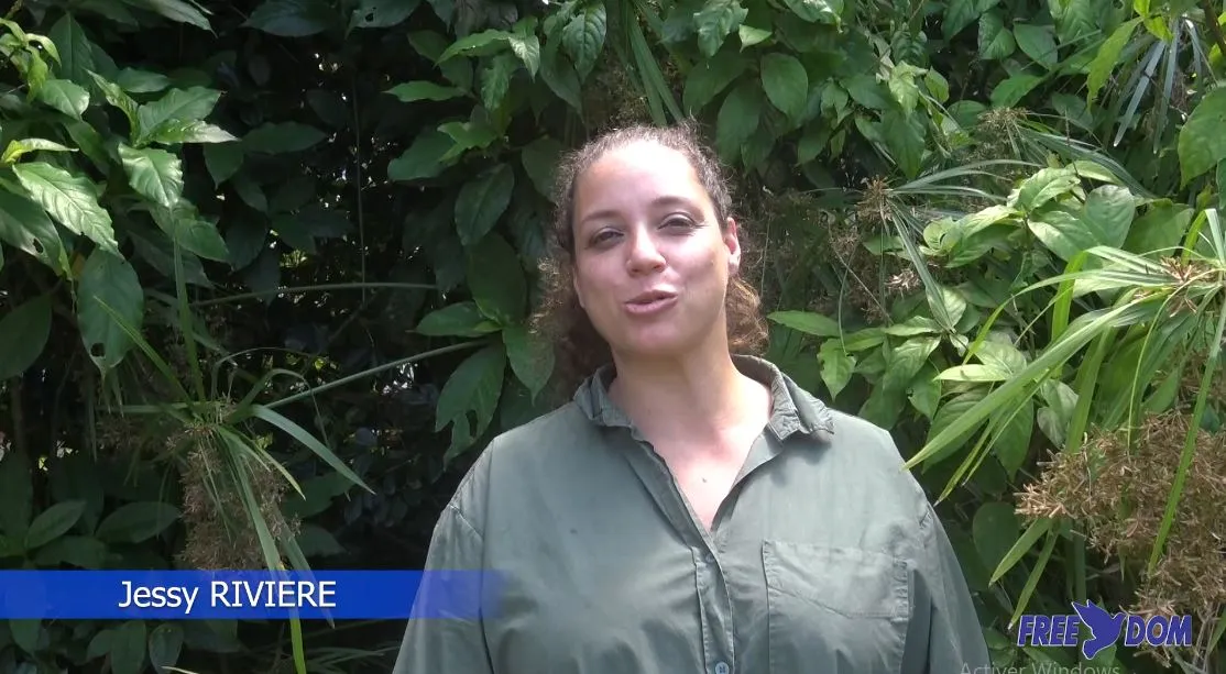 Le quatre-épice de qualité gastronomie plaine des grègues. La Réunion.