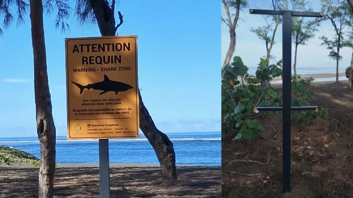 Étang-Salé : des panneaux d’alerte requins vandalisés