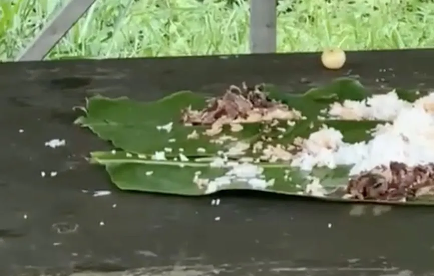 Sainte-Suzanne : écœuré, un riverain dénonce des déchets laissés au kiosque du Bassin la Boue(VIDÉO)