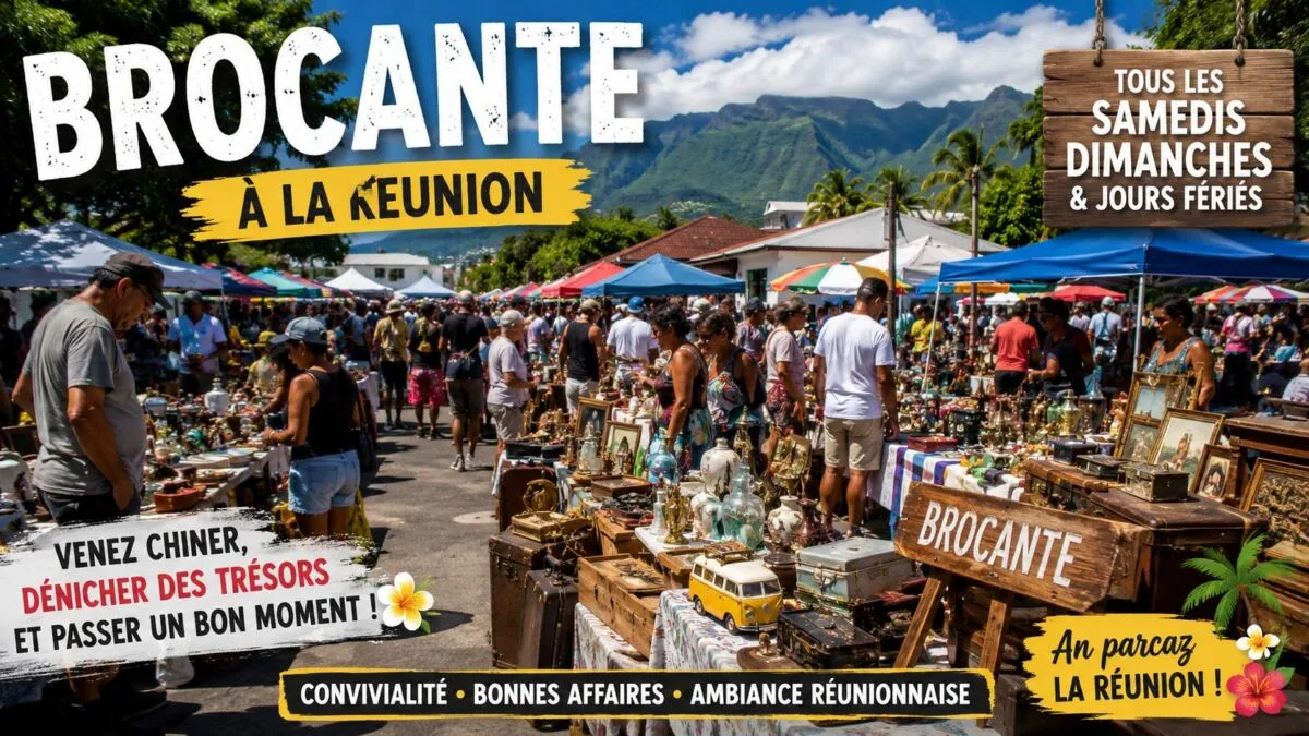 Brocante, programme