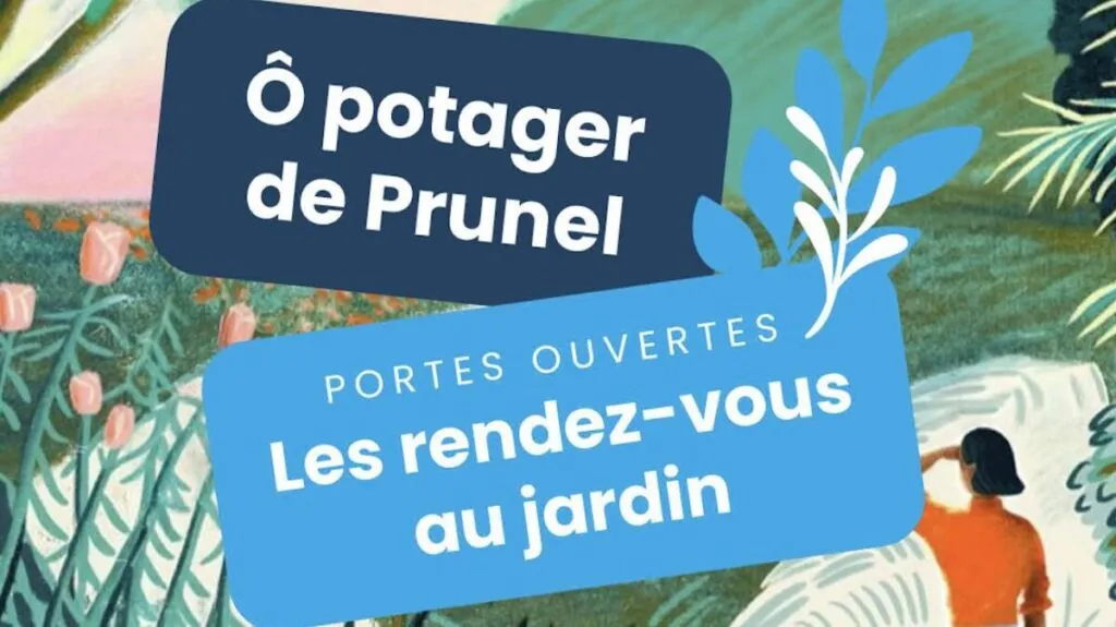 Saint-Denis : le jardin Ô Potager de Prunel ouvre ses portes au public ce samedi