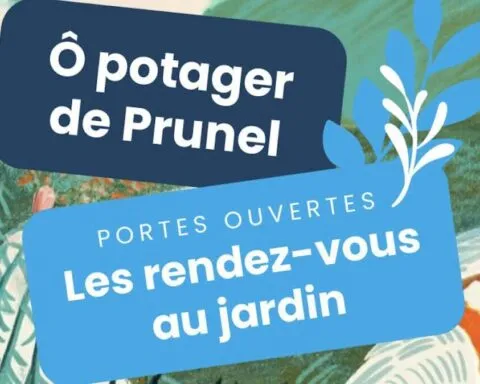 Saint-Denis : le jardin Ô Potager de Prunel ouvre ses portes au public ce samedi
