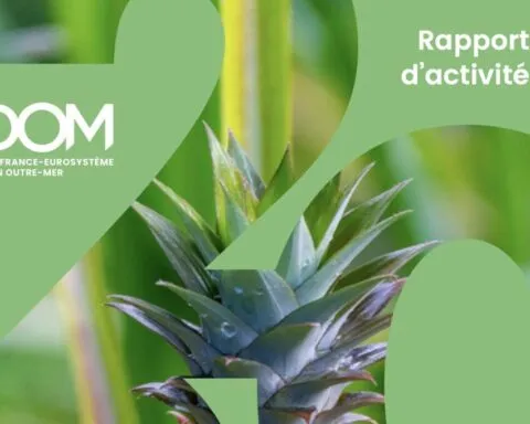 L’IEDOM alerte sur l’autonomie alimentaire des Outre-mer : un enjeu stratégique pour l’avenir