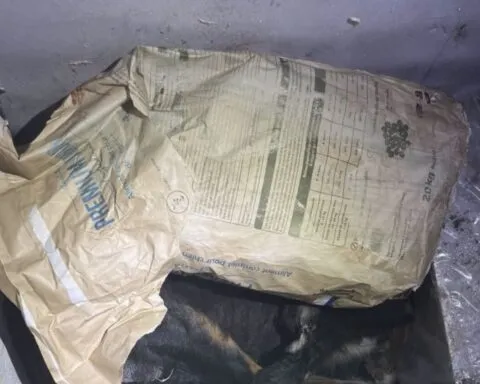Horreur dans un élevage : 150 chiens découverts dans des conditions insoutenables, trois retrouvés morts dans un congélateur