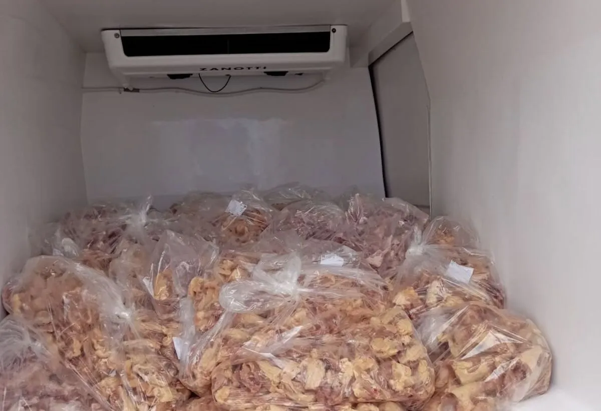 Jusqu’à 8 tonnes de carcasses de poulet par jour : l’opération « Car’Os » de retour dans plusieurs communes de La Réunion