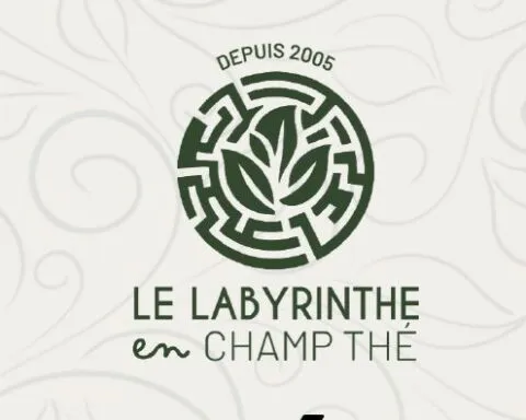 Festivi’Thé 2026 : le Labyrinthe En-Champ-Thé célèbre ses 21 ans avec un week-end festif à Grand Coude
